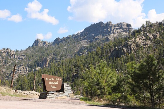 Black Hills National Forest