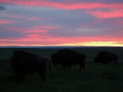 Badlands National Park