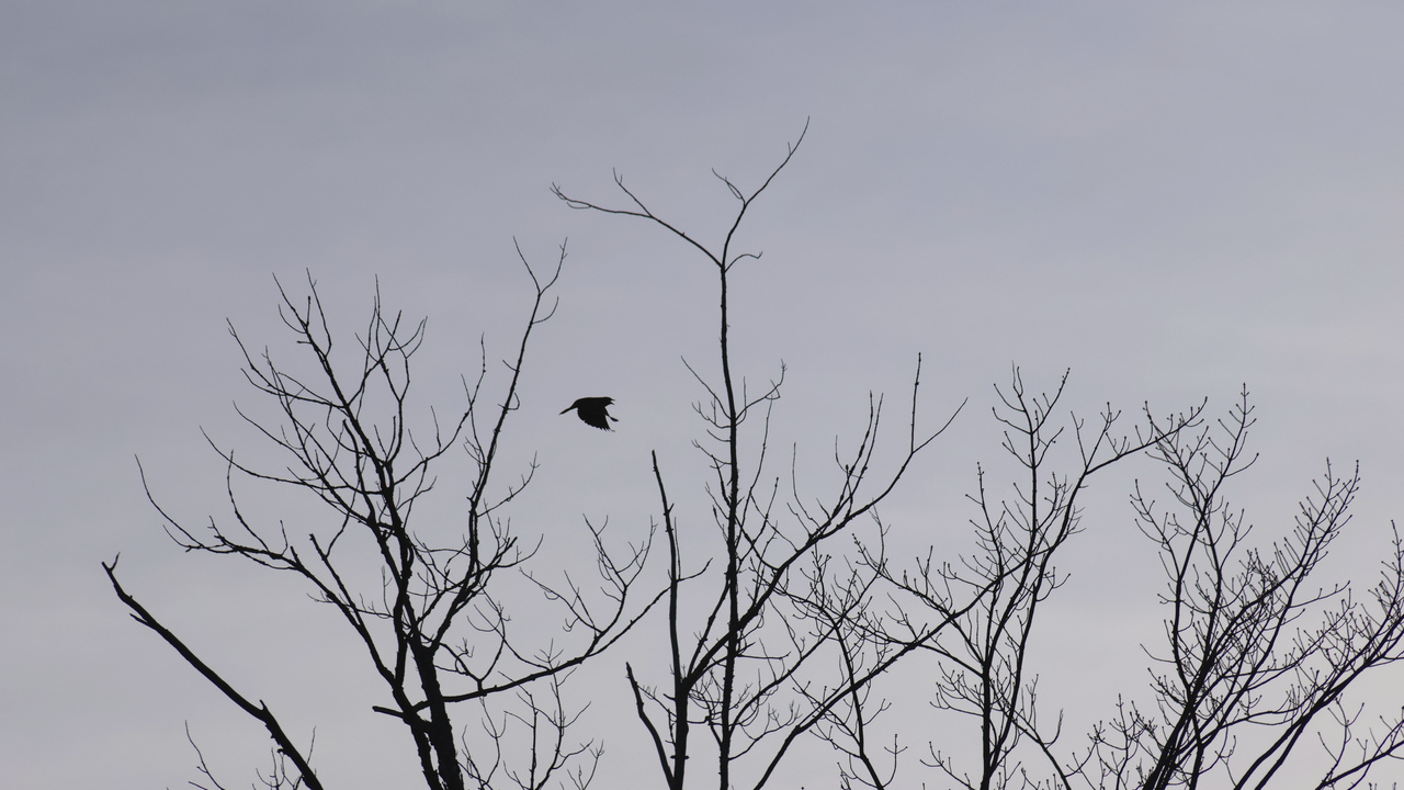 À son propre rythme