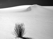 White Sands National Park