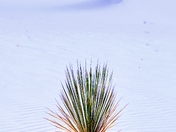 White Sands National park