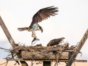 Bear Lake National Wildlife Refuge 
