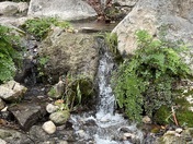 Guadeloupe National Park