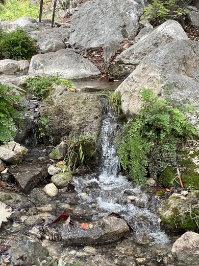 Guadeloupe National Park