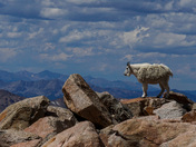 Mt Blue Sky Scenic Byway