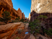 Arches National Park