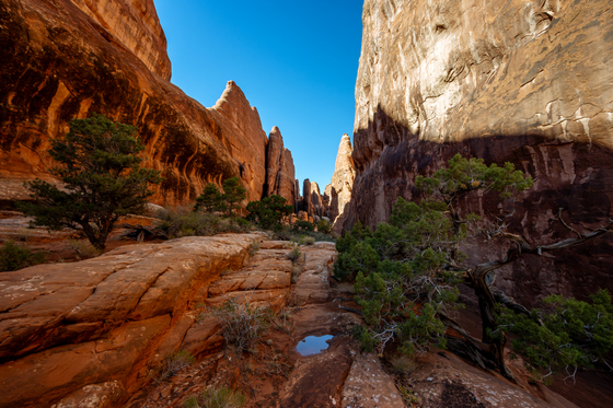 Arches National Park