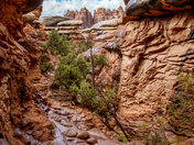 Canyonlands National Park