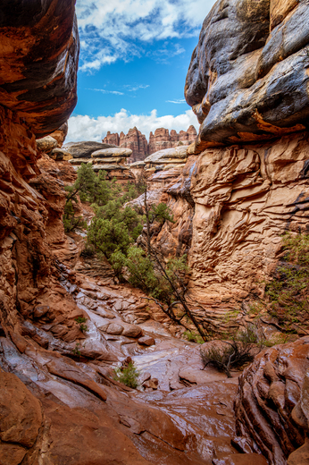 Canyonlands National Park