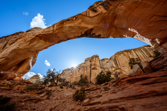 Capitol Reef National Park