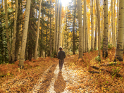 Grand Mesa, Uncompahgre, and Gunnison National Forest