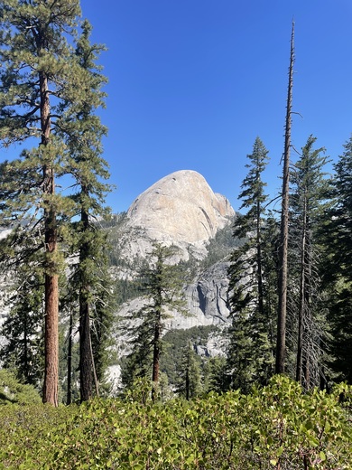 Yosemite National Park 
