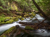 Tamanawas Falls Trail