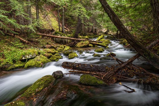 Tamanawas Falls Trail