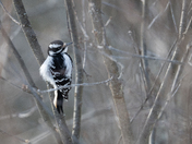 Is spring on the way?