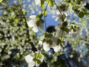 Yosemite National Park