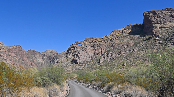 Organ Pipe Cactus National Monument 