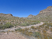 Organ Pipe Cactus National Monument 