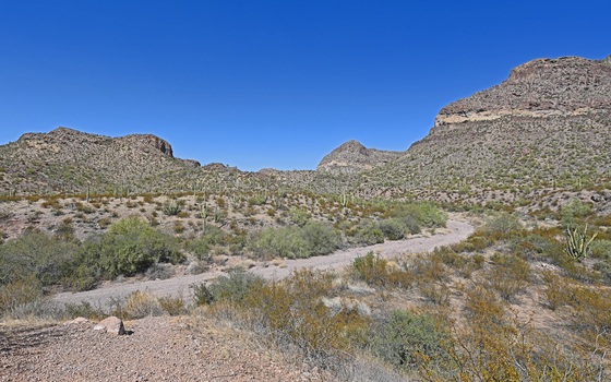 Organ Pipe Cactus National Monument 