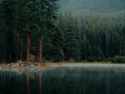 Flathead National Forest