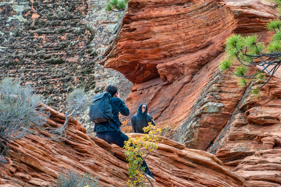 Zion National Park