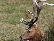 Point Reyes National Seashore