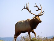 Point Reyes National Seashore
