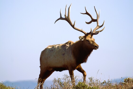 Point Reyes National Seashore