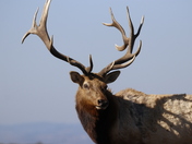 Point Reyes National Seashore