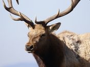 Point Reyes National Seashore