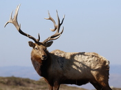 Point Reyes National Seashore