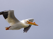Grand Teton National Park