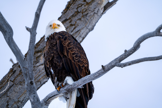 Grand Teton National Park