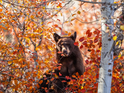 Grand Teton National Park