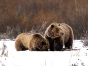 Grand Teton National Park