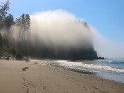 Olympic National Forest
