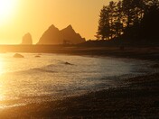Olympic National Park