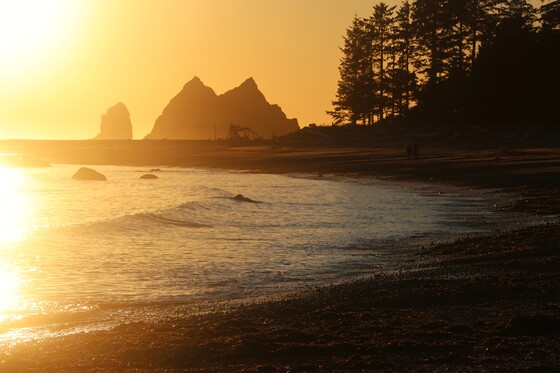 Olympic National Park