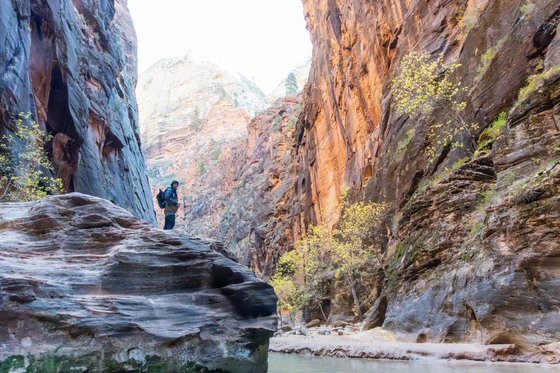 Zion National Park