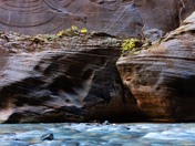 Zion National Park