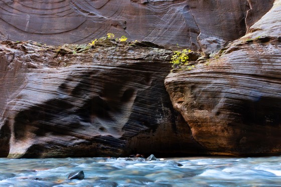 Zion National Park