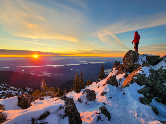 Olympic National Forest