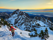 Olympic National Forest