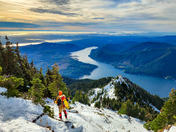 Olympic National Forest
