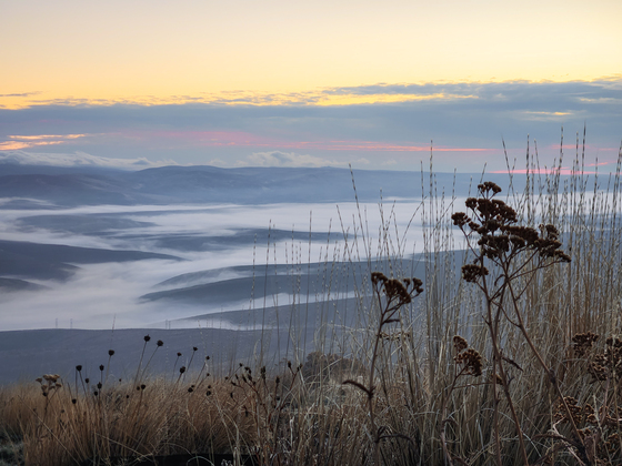 Yakima River Canyon