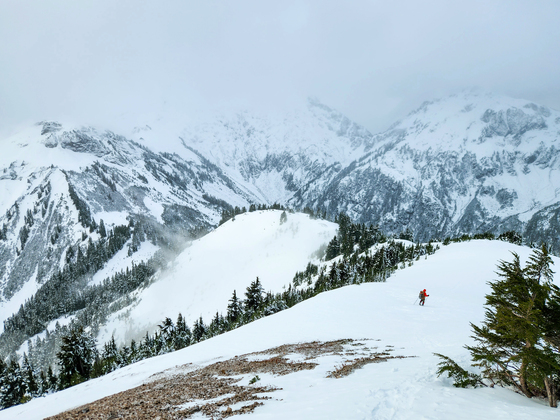 Mt Baker Wilderness