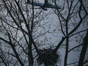 Eagle's Nest with Jet Plane