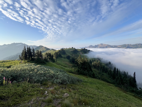 Mt. Baker-Snoqualmie National Forest
