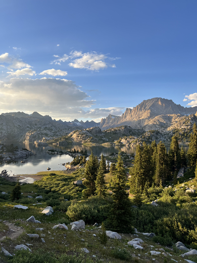 Bridger-Teton National Forest