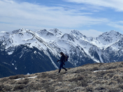 Olympic National Forest